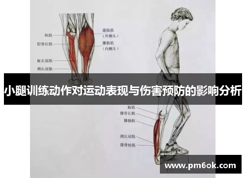 小腿训练动作对运动表现与伤害预防的影响分析
